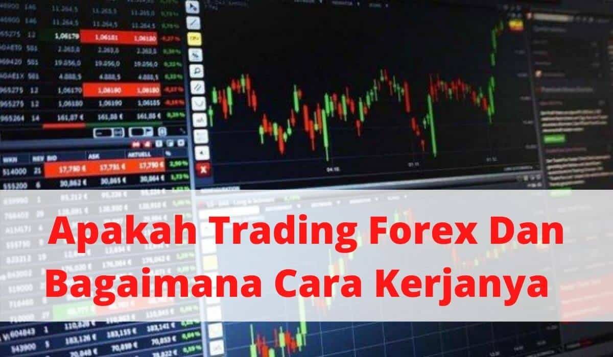 Apa Itu Forex Dan Bagaimana Cara Kerjanya | Maskromo.com